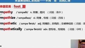 成人英语基础视频推荐